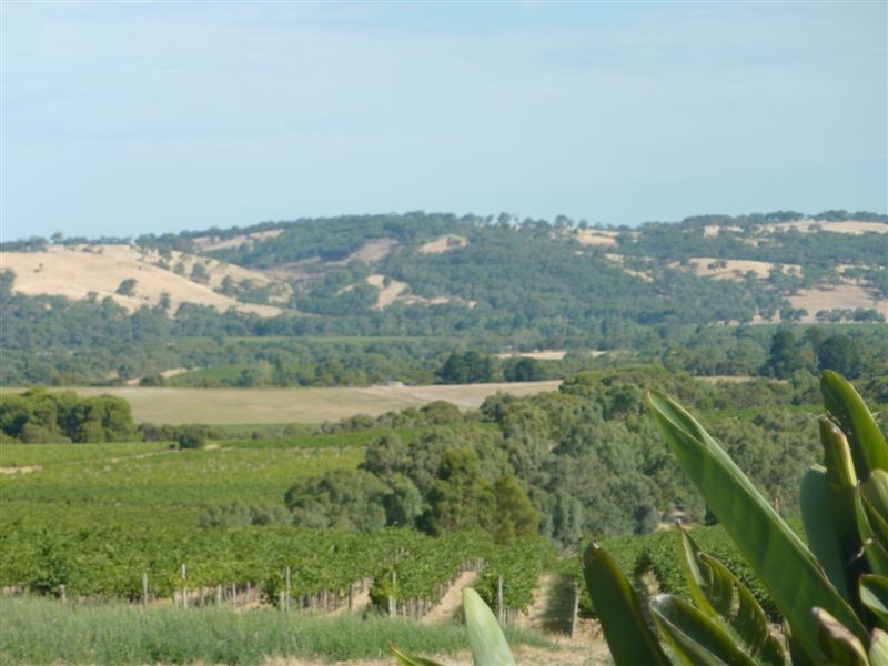 Lot 100 Brunato Road, Blewitt Springs SA 5171