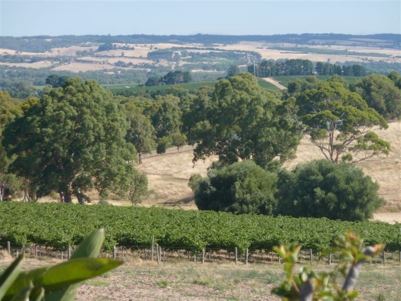 Lot 100 Brunato Road, Blewitt Springs SA 5171