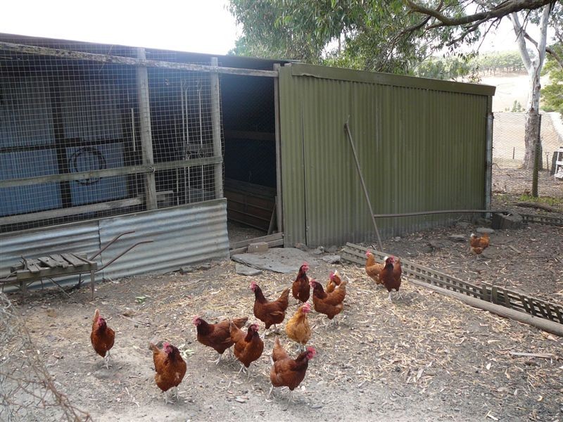 Sec 914 Badgers Road, Kuitpo SA 5172