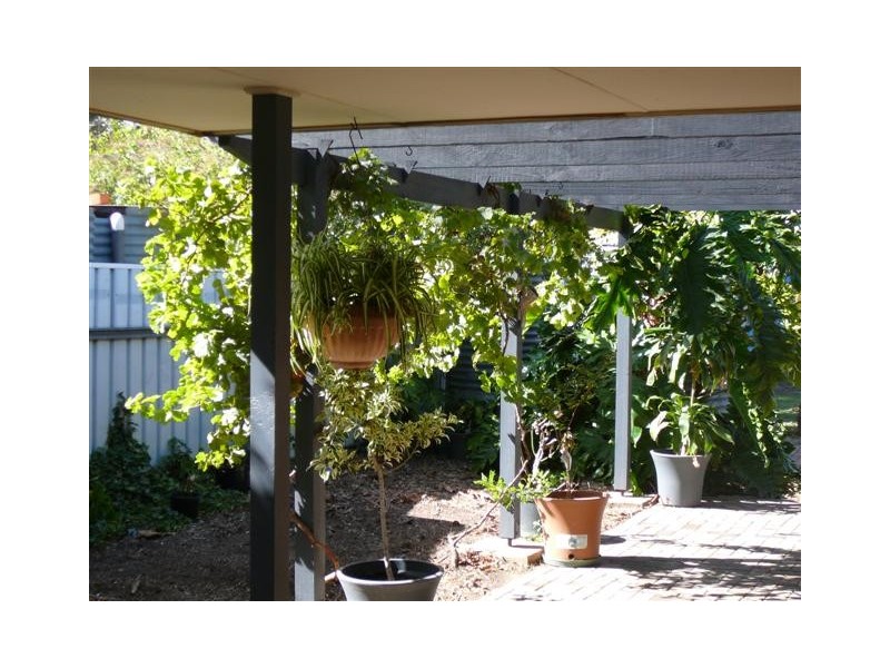 2 Berry Street, Aldinga Beach SA 5173