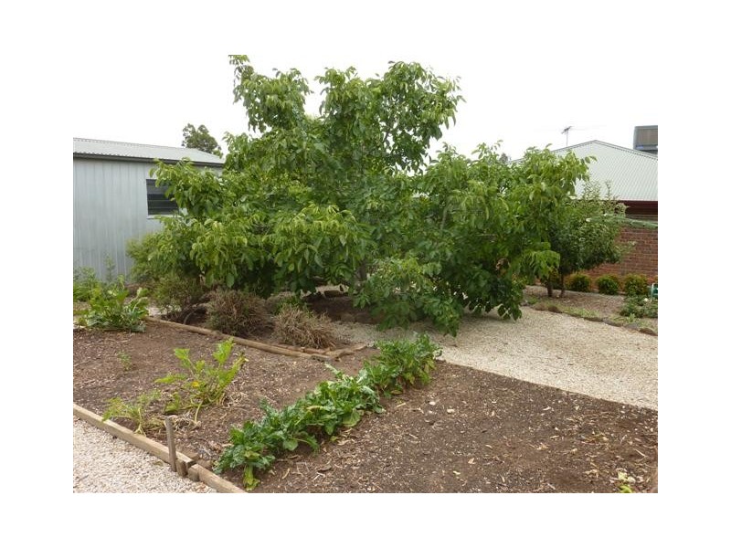 6 Clifton Court, Mclaren Vale SA 5171