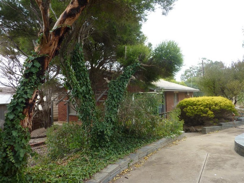 16 Parkway Drive, Maslin Beach SA 5170