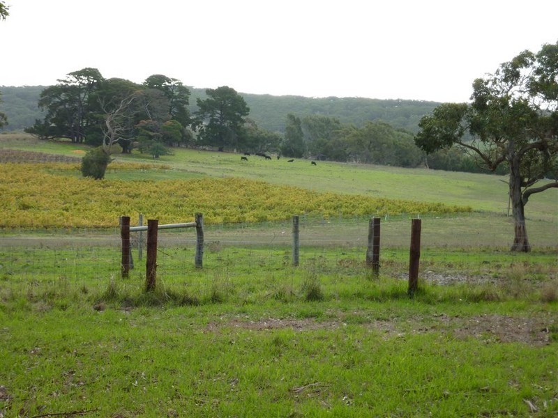 Sec 156 Billings Road, Pages Flat SA 5172