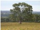 Lot 683 + 684 Glory Road, Kangarilla SA 5157