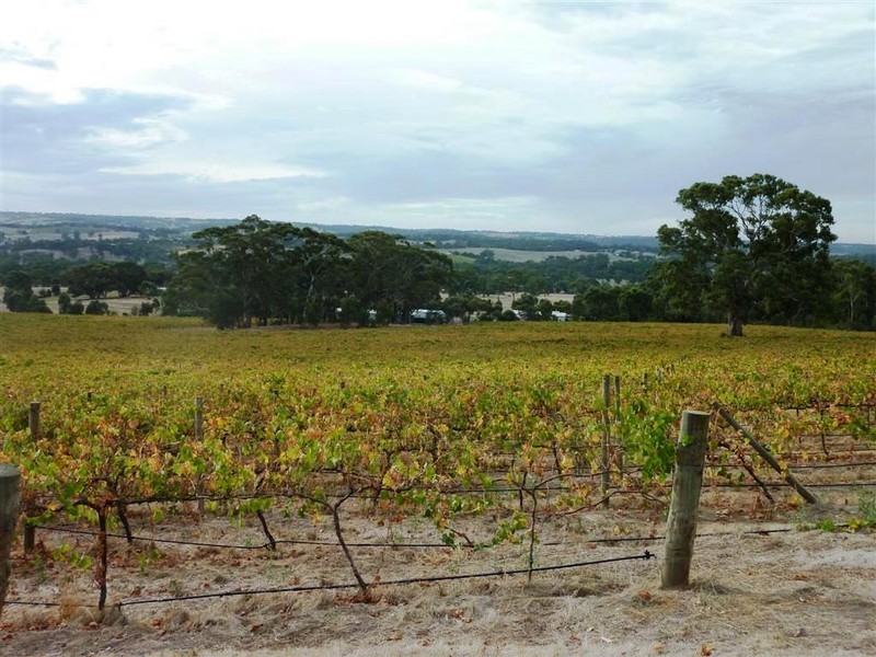 Lot 683 + 684 Glory Road, Kangarilla SA 5157