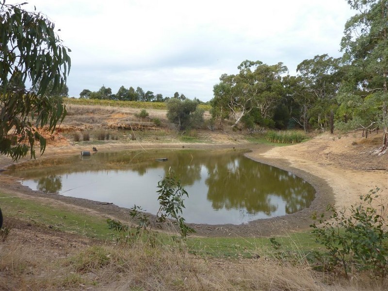 Lot 683 + 684 Glory Road, Kangarilla SA 5157