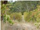 Lot 683 + 684 Glory Road, Kangarilla SA 5157