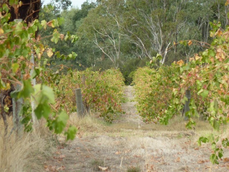 Lot 683 + 684 Glory Road, Kangarilla SA 5157