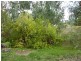 Lot 201 Green Lane, Willunga SA 5172