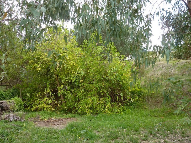 Lot 201 Green Lane, Willunga SA 5172