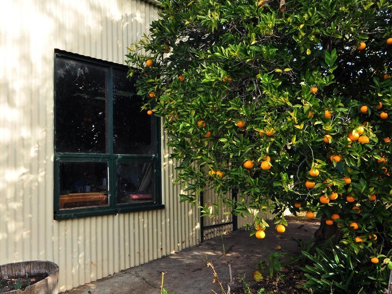 17 Kangarilla Road, Mclaren Vale SA 5171