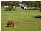 Sec 652 Harvey Road, Prospect Hill SA 5201