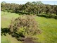 Sec 652 Harvey Road, Prospect Hill SA 5201
