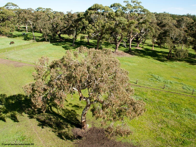 Sec 652 Harvey Road, Prospect Hill SA 5201
