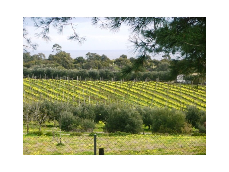 Lot 28  Sheoak Road, Mclaren Vale SA 5171