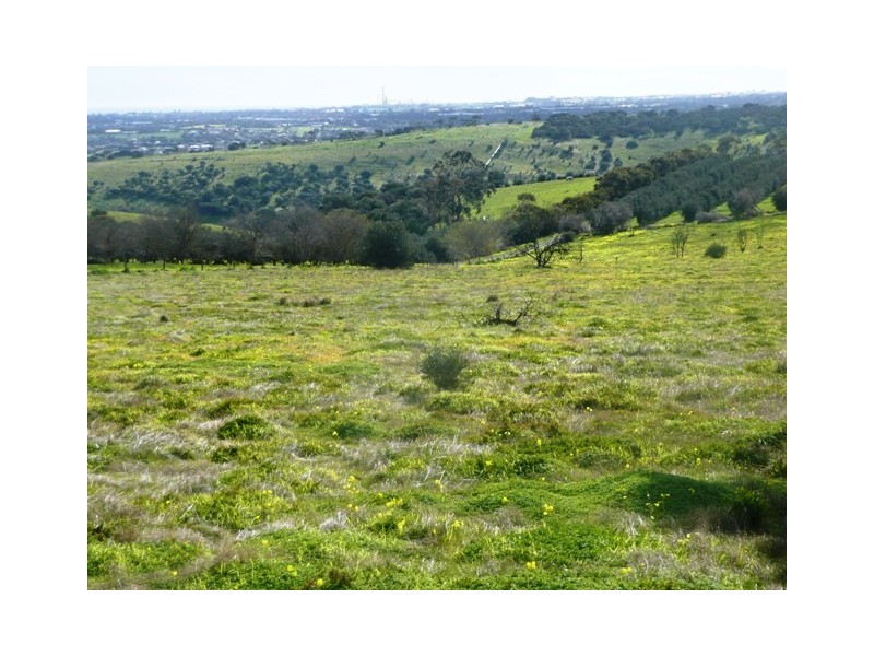 Lot 28  Sheoak Road, Mclaren Vale SA 5171
