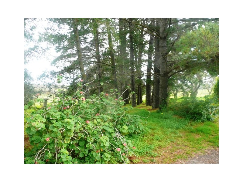 Lot 28  Sheoak Road, Mclaren Vale SA 5171