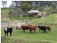 Lot 655  Baker Gully Road, Clarendon SA 5157