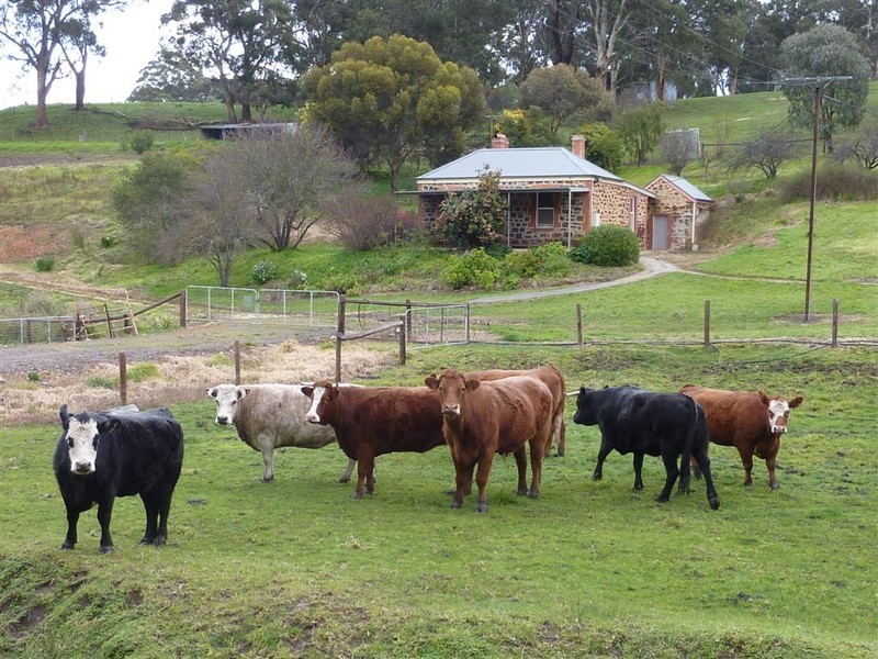Lot 655  Baker Gully Road, Clarendon SA 5157