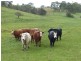 Lot 655  Baker Gully Road, Clarendon SA 5157