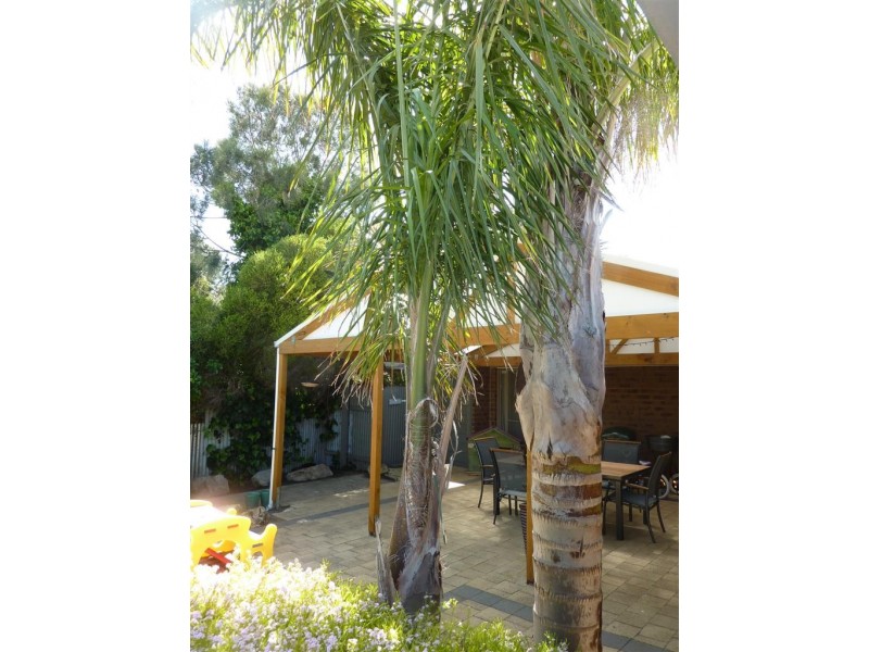 24 Seymour Avenue, Maslin Beach SA 5170