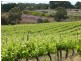 Lot 17 Brookmans Road, Blewitt Springs SA 5171