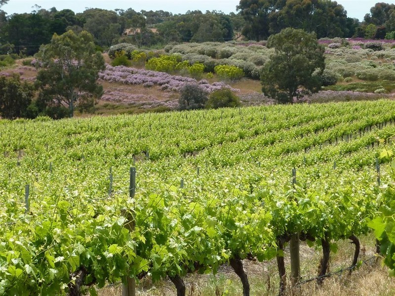 Lot 17 Brookmans Road, Blewitt Springs SA 5171
