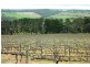 Lot 17 Brookmans Road, Blewitt Springs SA 5171