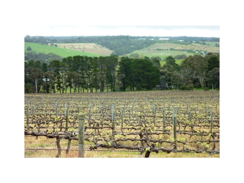 Lot 17 Brookmans Road, Blewitt Springs SA 5171