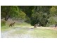 Lot 17 Brookmans Road, Blewitt Springs SA 5171