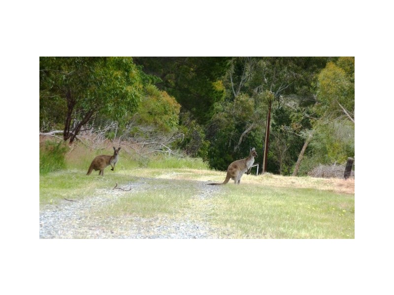 Lot 17 Brookmans Road, Blewitt Springs SA 5171