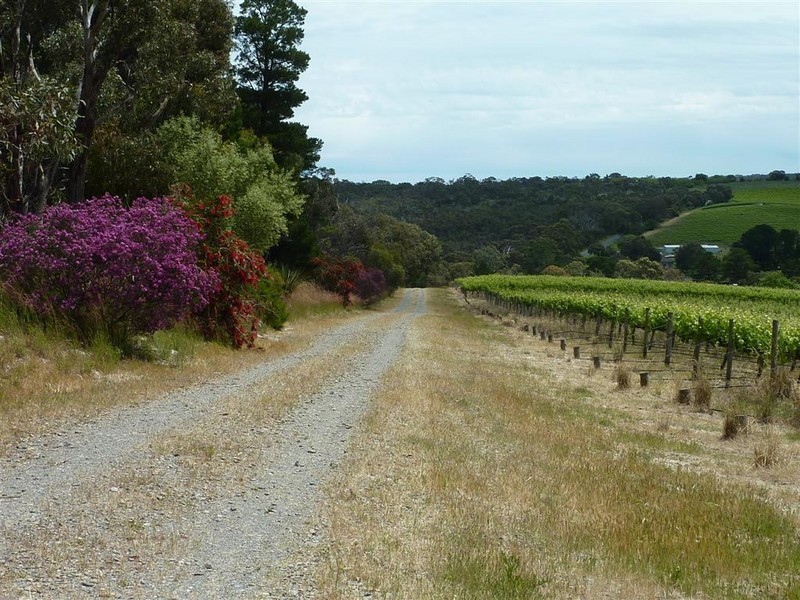 Lot 17 Brookmans Road, Blewitt Springs SA 5171