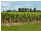 Lot 17 Brookmans Road, Blewitt Springs SA 5171