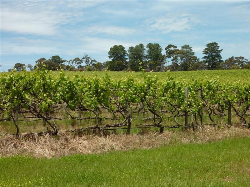 Lot 17 Brookmans Road, Blewitt Springs SA 5171