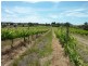 Lot 17 Brookmans Road, Blewitt Springs SA 5171