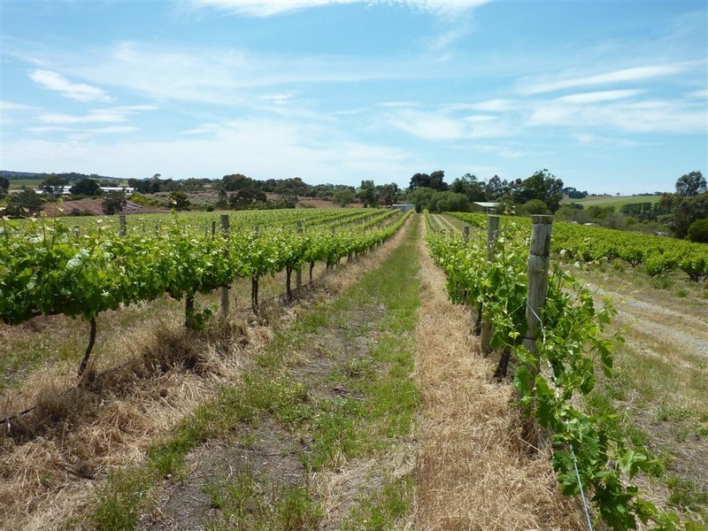 Lot 17 Brookmans Road, Blewitt Springs SA 5171