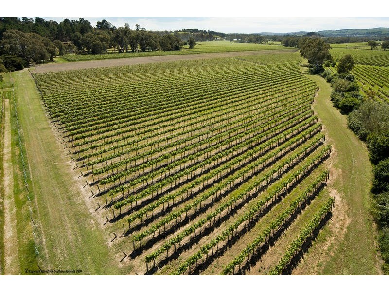 53 Blewitt Springs Road, Mclaren Flat SA 5171