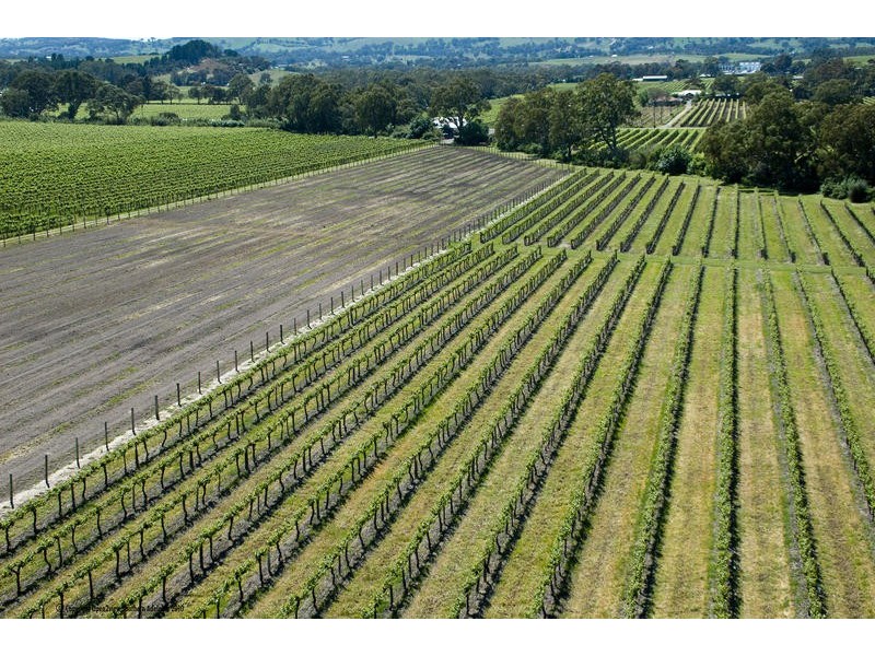 53 Blewitt Springs Road, Mclaren Flat SA 5171