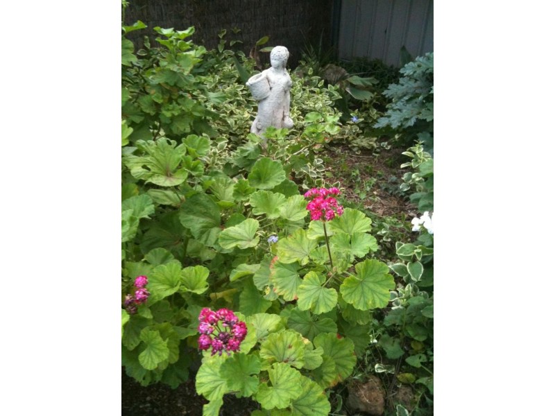 14 Malpas Street, Old Noarlunga SA 5168