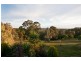 54 Clarendon Road, Chandlers Hill SA 5159