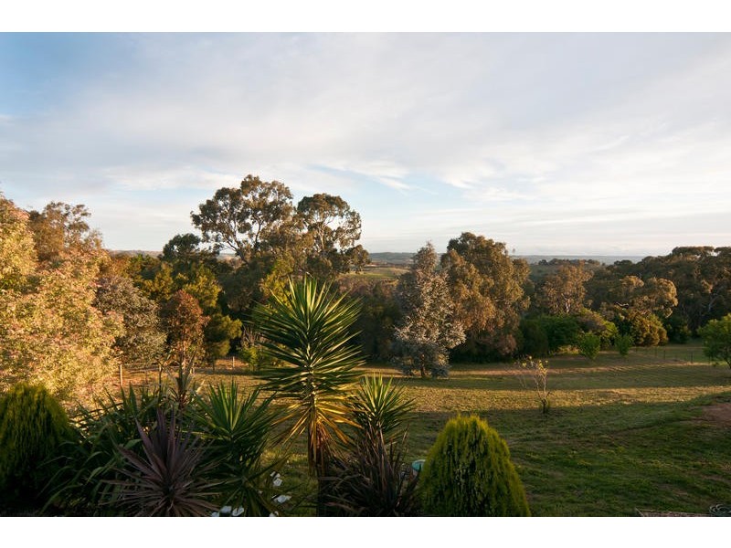 54 Clarendon Road, Chandlers Hill SA 5159