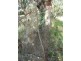Lot 102 Range Road West, Willunga SA 5172