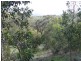 Lot 102 Range Road West, Willunga SA 5172