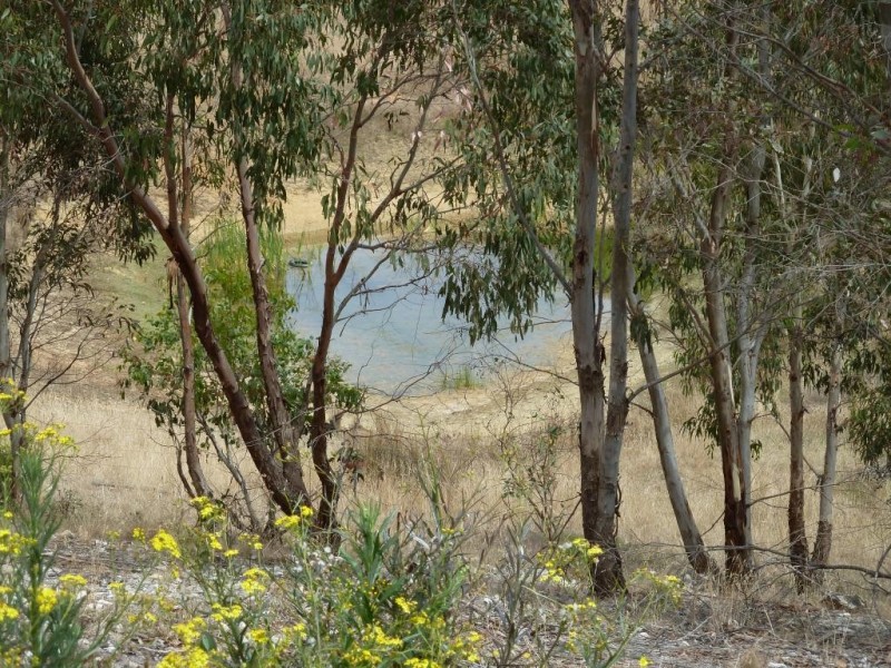 Lot 102 Range Road West, Willunga SA 5172