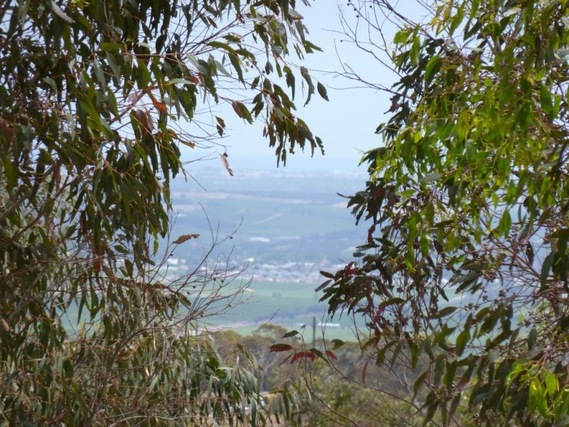 Lot 102 Range Road West, Willunga SA 5172