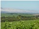 Lot 3, 212 Seaview Road, Mclaren Vale SA 5171
