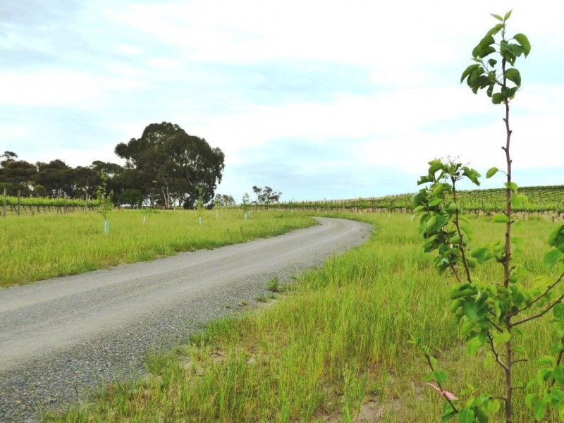 Lot 3, 212 Seaview Road, Mclaren Vale SA 5171