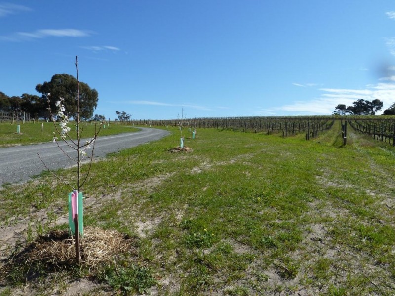 Lot 3, 212 Seaview Road, Mclaren Vale SA 5171