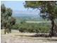 Lot 3, 212 Seaview Road, Mclaren Vale SA 5171
