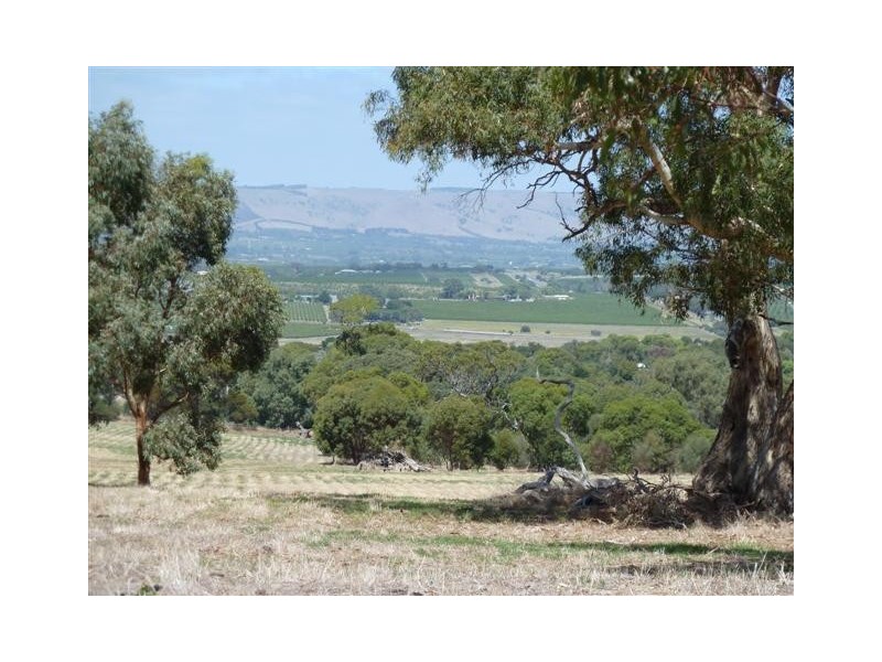 Lot 3, 212 Seaview Road, Mclaren Vale SA 5171